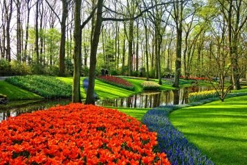 När vi nu går igenom en ny vår, och blommans skönhet kallar på vår uppmärksamhet, kan vi höra dem säga: "Tack för att du ser min skönhet. Jag älskar dig också."